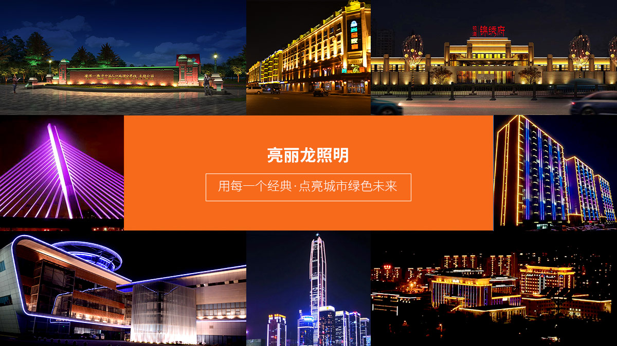 亮麗龍工程